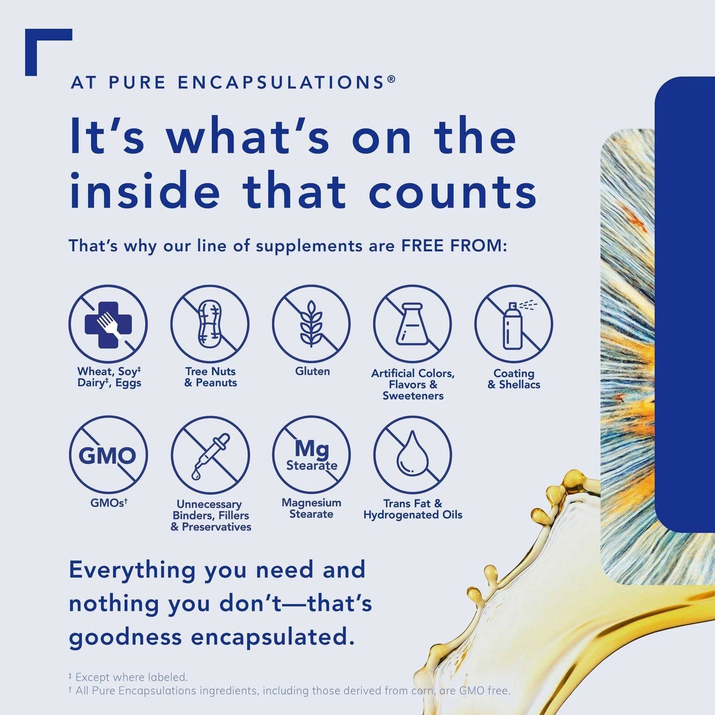 Pure Encapsulations L-Carnitine - 60 Capsules