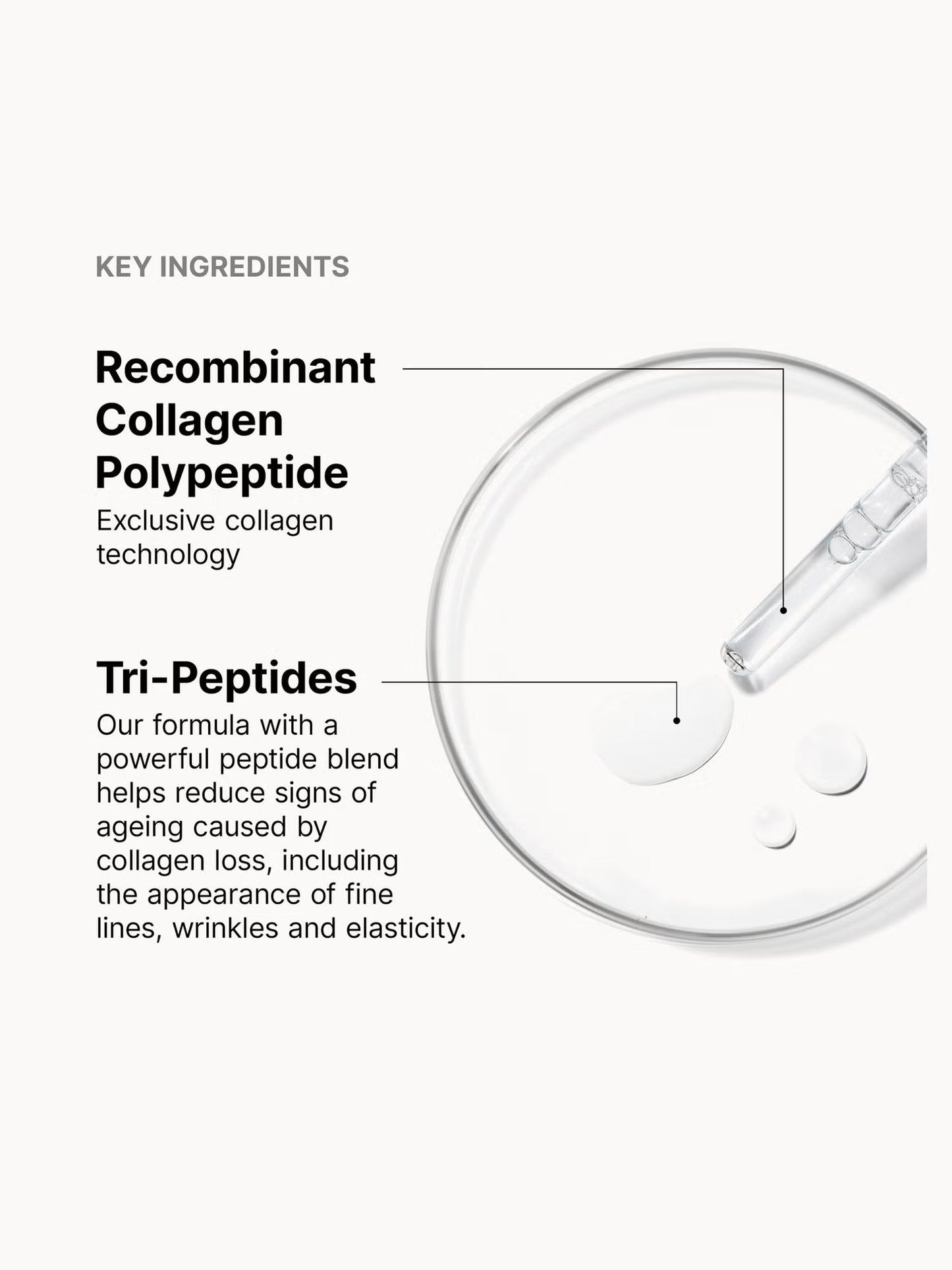 SkinCeuticals Collagen Pro Solution with peptides glycerin and hyaluronic acid helps support collagen production hydrate skin and improve elasticity and texture