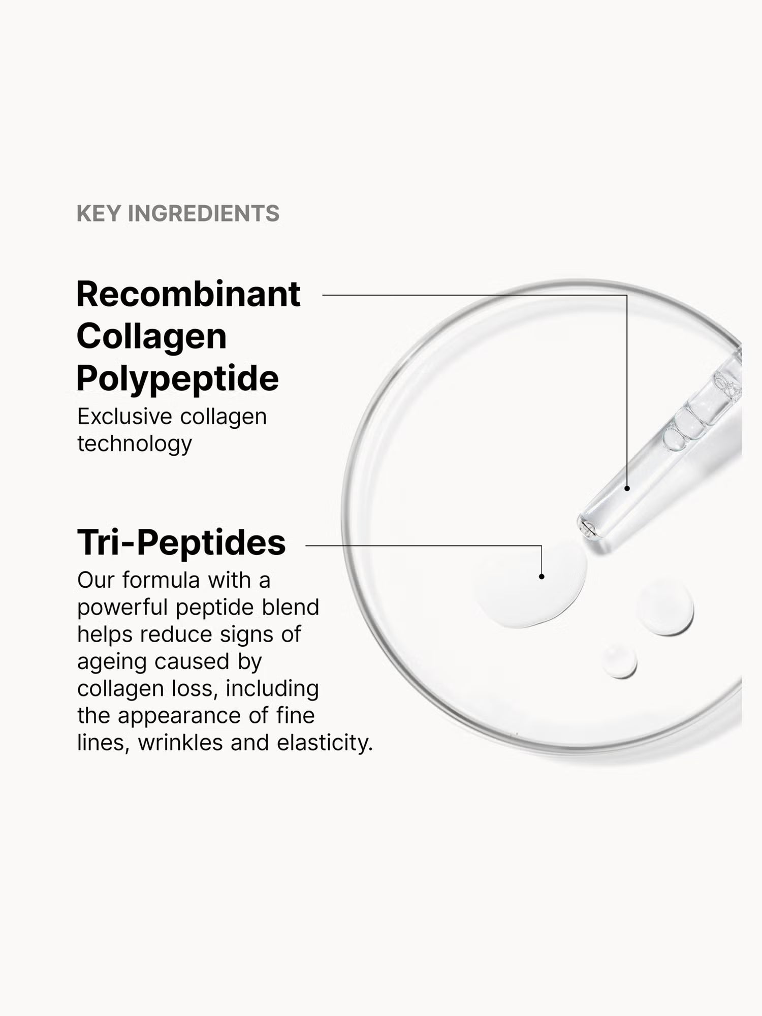 SkinCeuticals Collagen Pro Solution with peptides glycerin and hyaluronic acid helps support collagen production hydrate skin and improve elasticity and texture